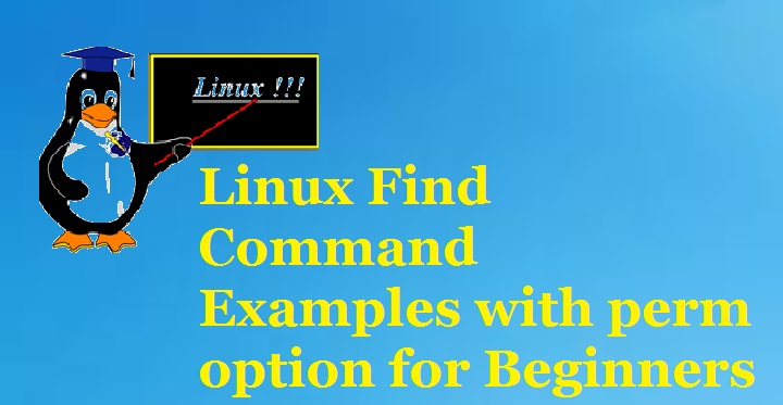 Linux-find-command-perm-option