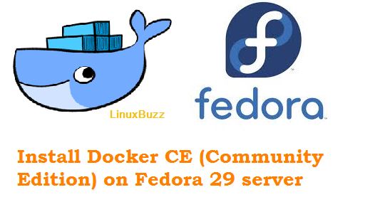 install discord fedora