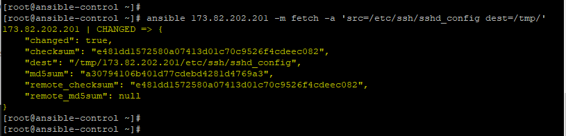 Ansible-command-fetch-files-remote-system