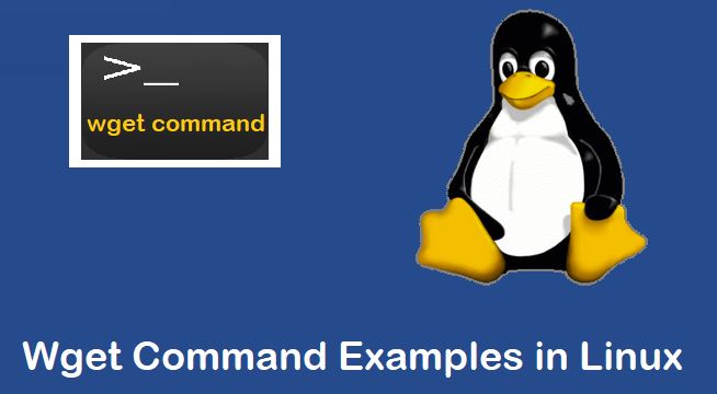 Wget-Command-Examples-Linux
