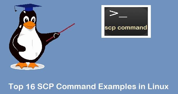 16-SCP-Command-Examples