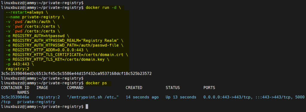 Start-Registry-Container-Docker-Command