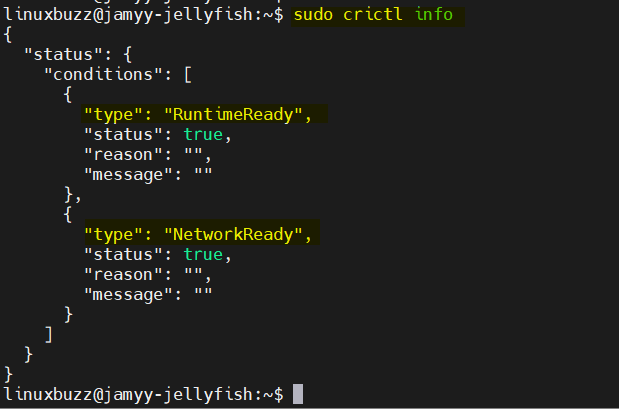 Crictl-Container-Runtime-Info-Ubuntu