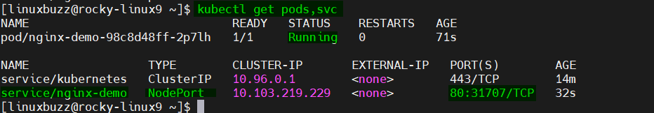 kubectl-pods-service-minikube-rocky-linux9