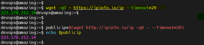 wget-Command-public-ip-address-linux