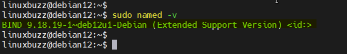 Check-Bind-Version-Debian12-Terminal