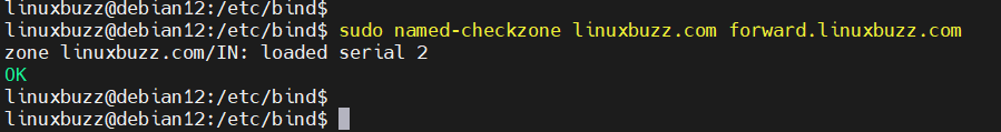 Named-CheckZone-Forward-Zone-File-Bind