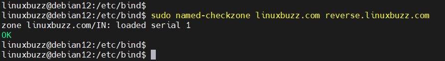 Named-CheckZone-Reverse-Zone-File-Bind