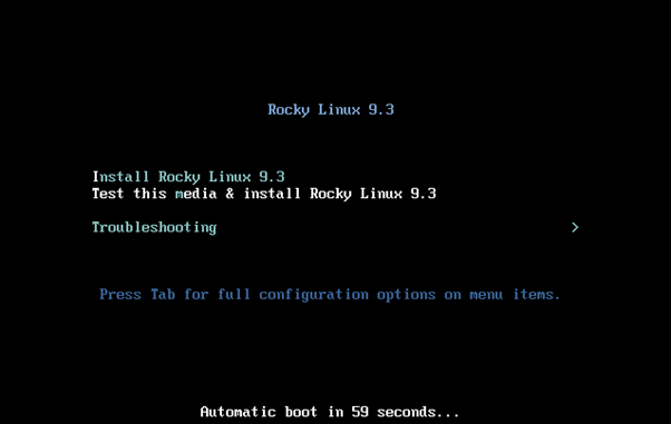 Virt-Install-VM-Installation-screen-RockyLinux9-AlmaLinux9