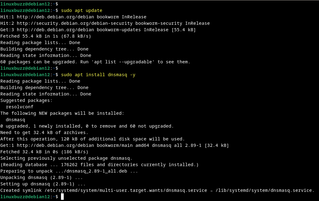 install dnsmasq on debian 12