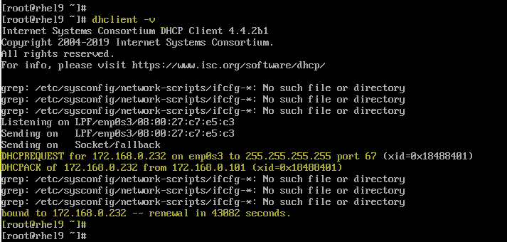 dhclient-v-command-rhel