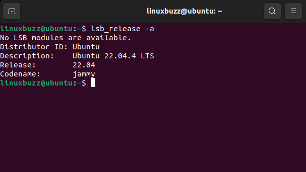 Ubuntu-Version-Check-Before-Upgrade