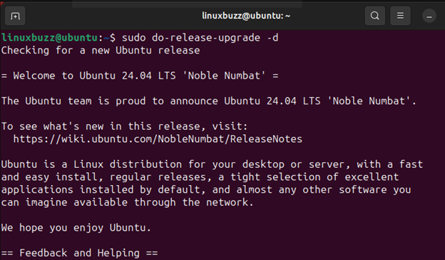 Upgrade Ubuntu 22.04 to Ubuntu 24.04 LTS via command line